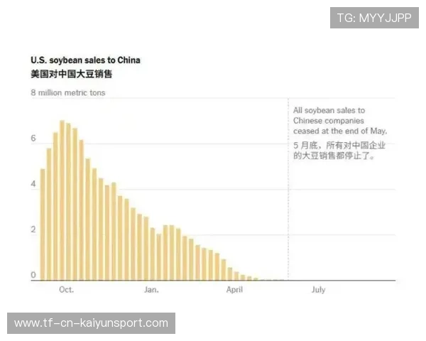 大豆关税成贸易绊脚石,中国暂停采购美豆,中国美国大豆关税 大豆关税成贸易绊脚石,中国暂停采购美豆,中国美国大豆关税